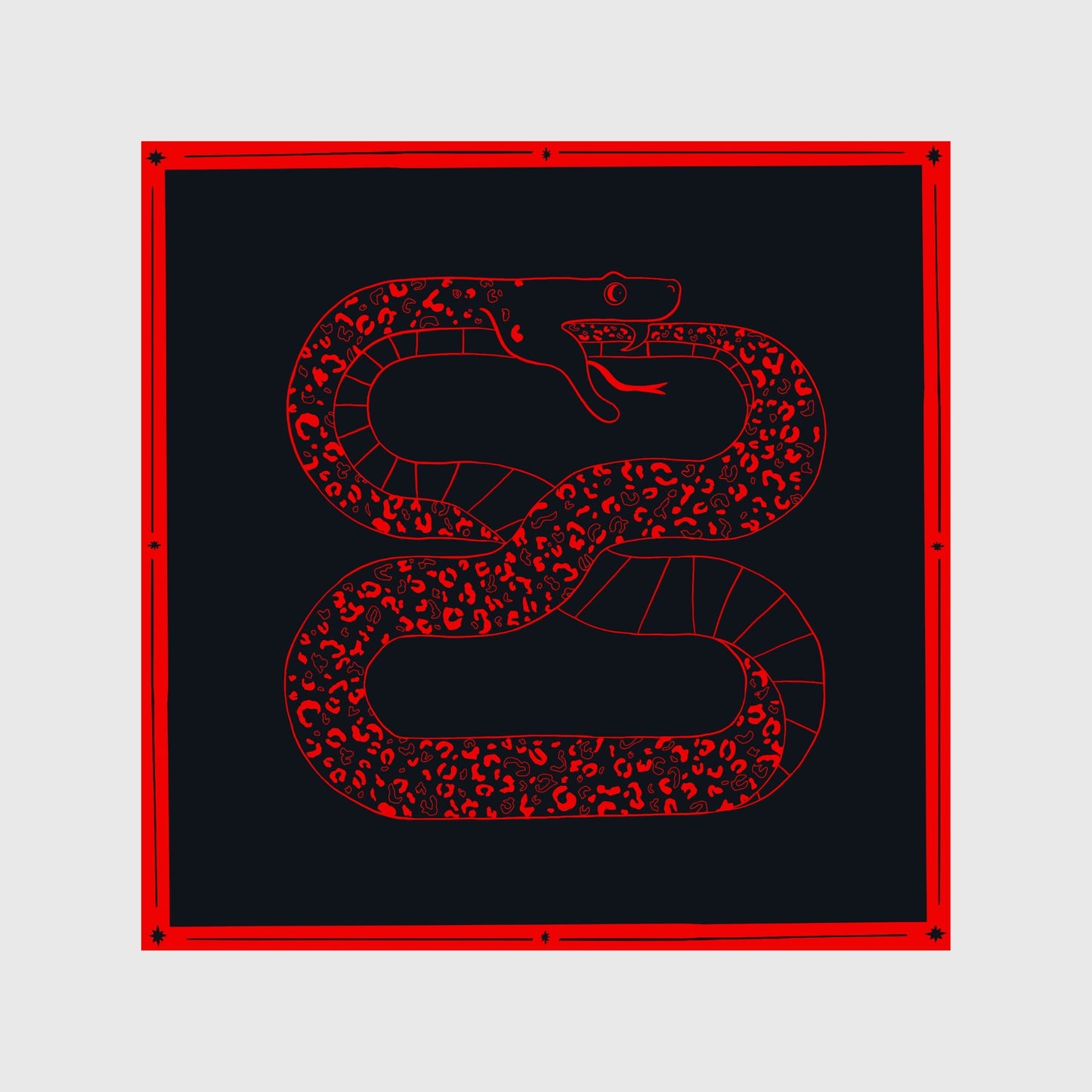 INFINITY SNAKE poster