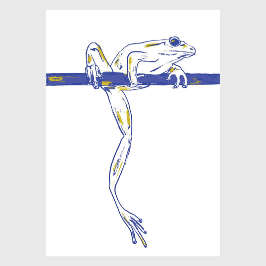 BIG FOOT FROG poster