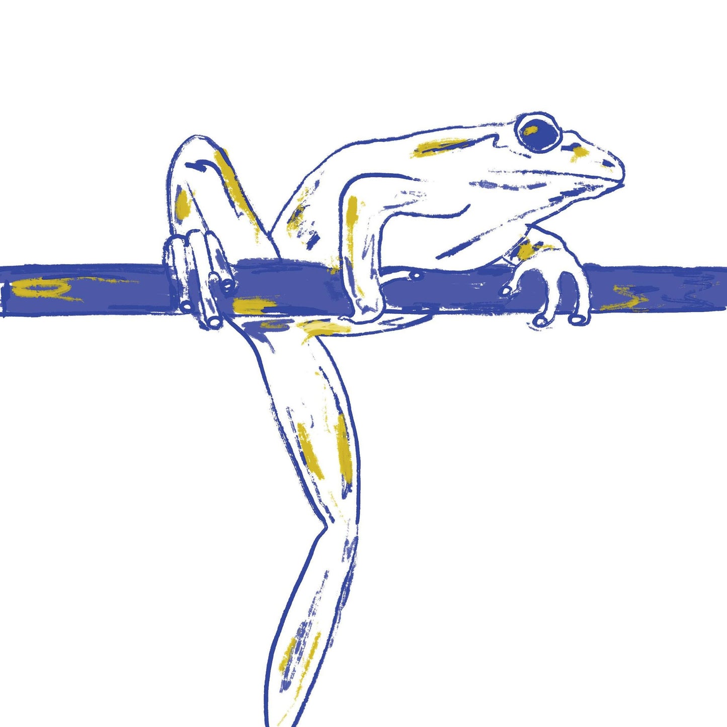 BIG FOOT FROG poster