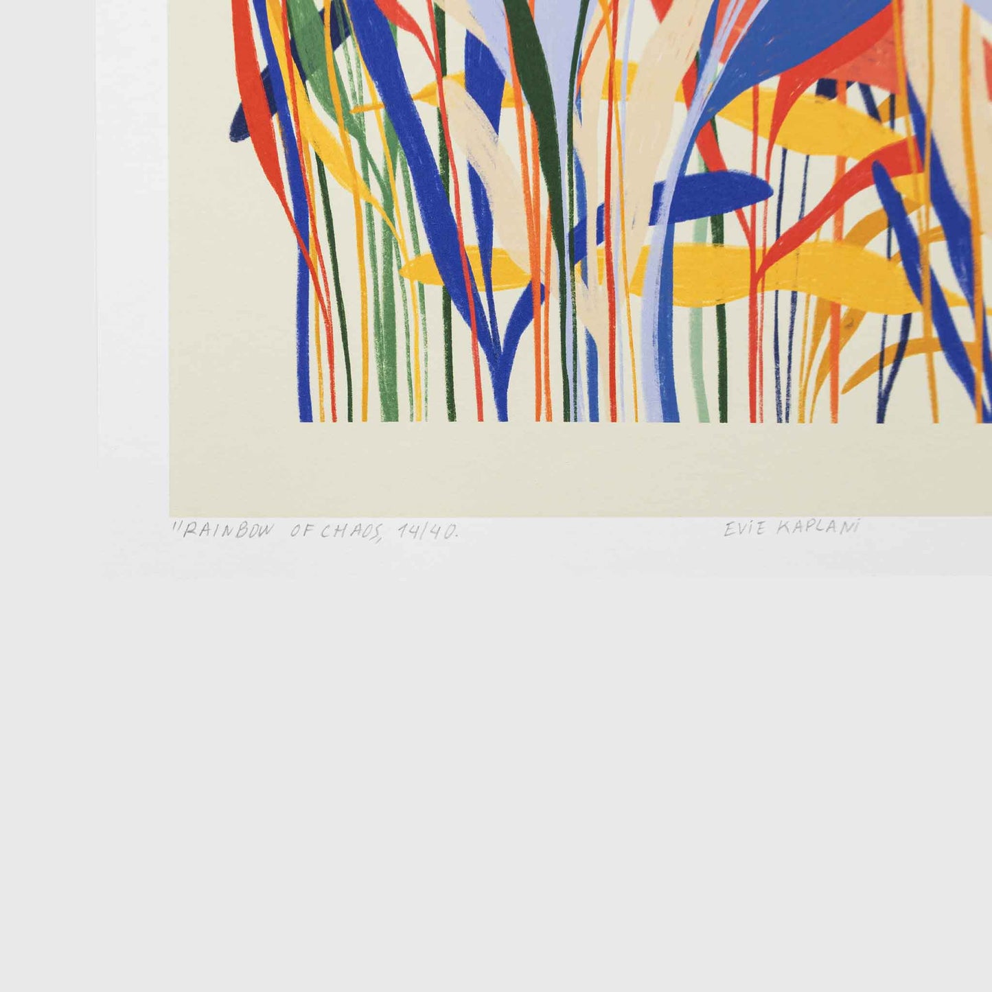 RAINBOW OF CHAOS poster