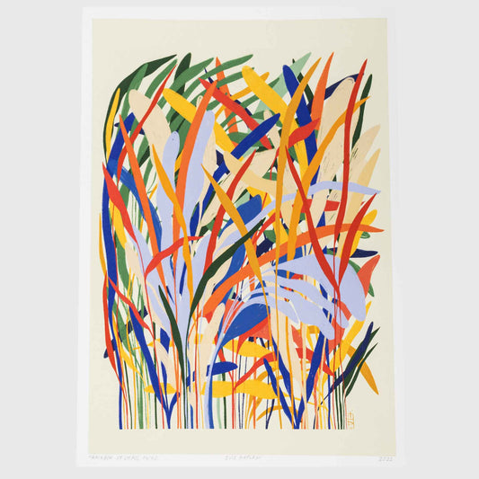 RAINBOW OF CHAOS poster