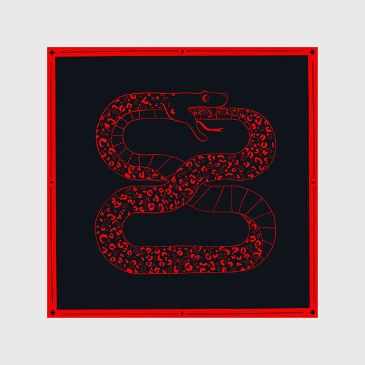 INFINITY SNAKE poster