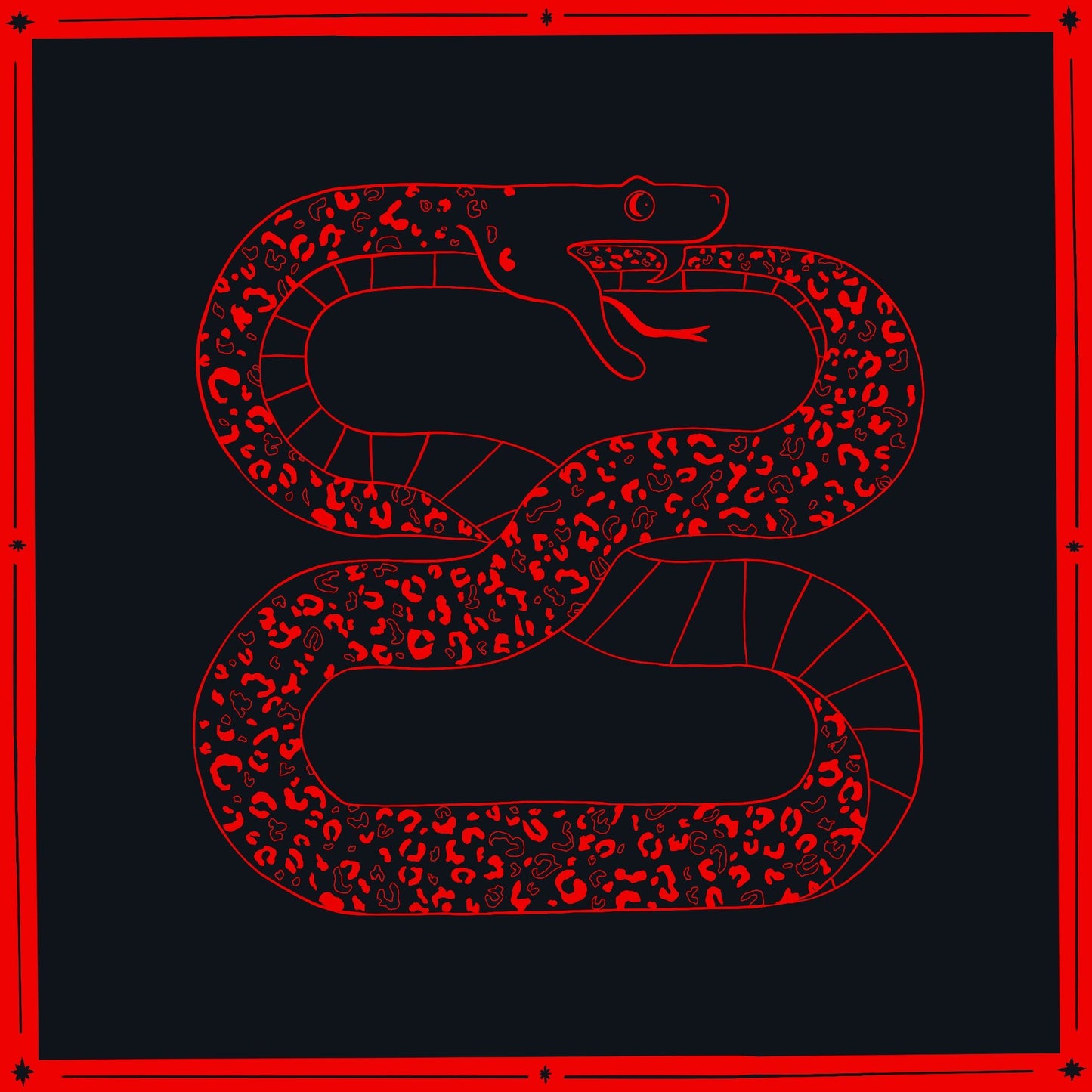 INFINITY SNAKE poster