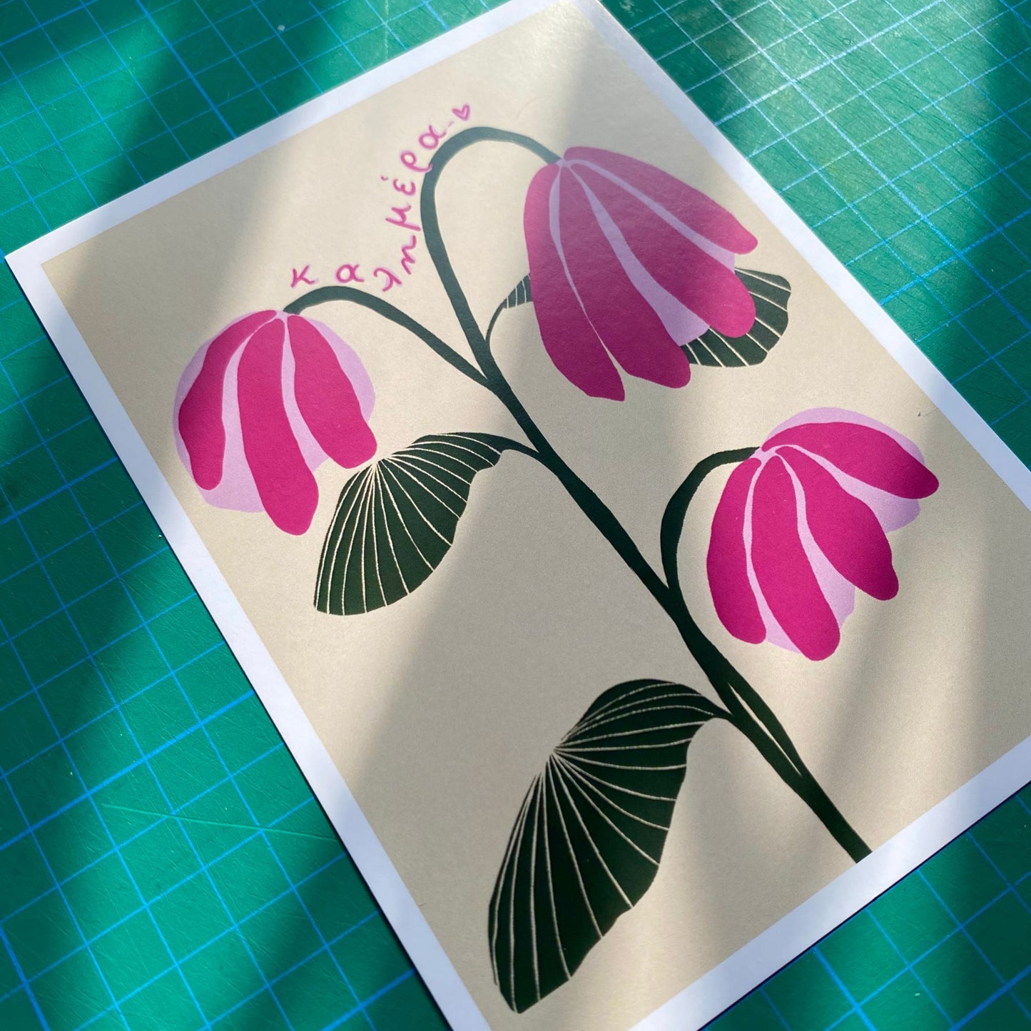 KALIMERA-PINK FLOWERS poster