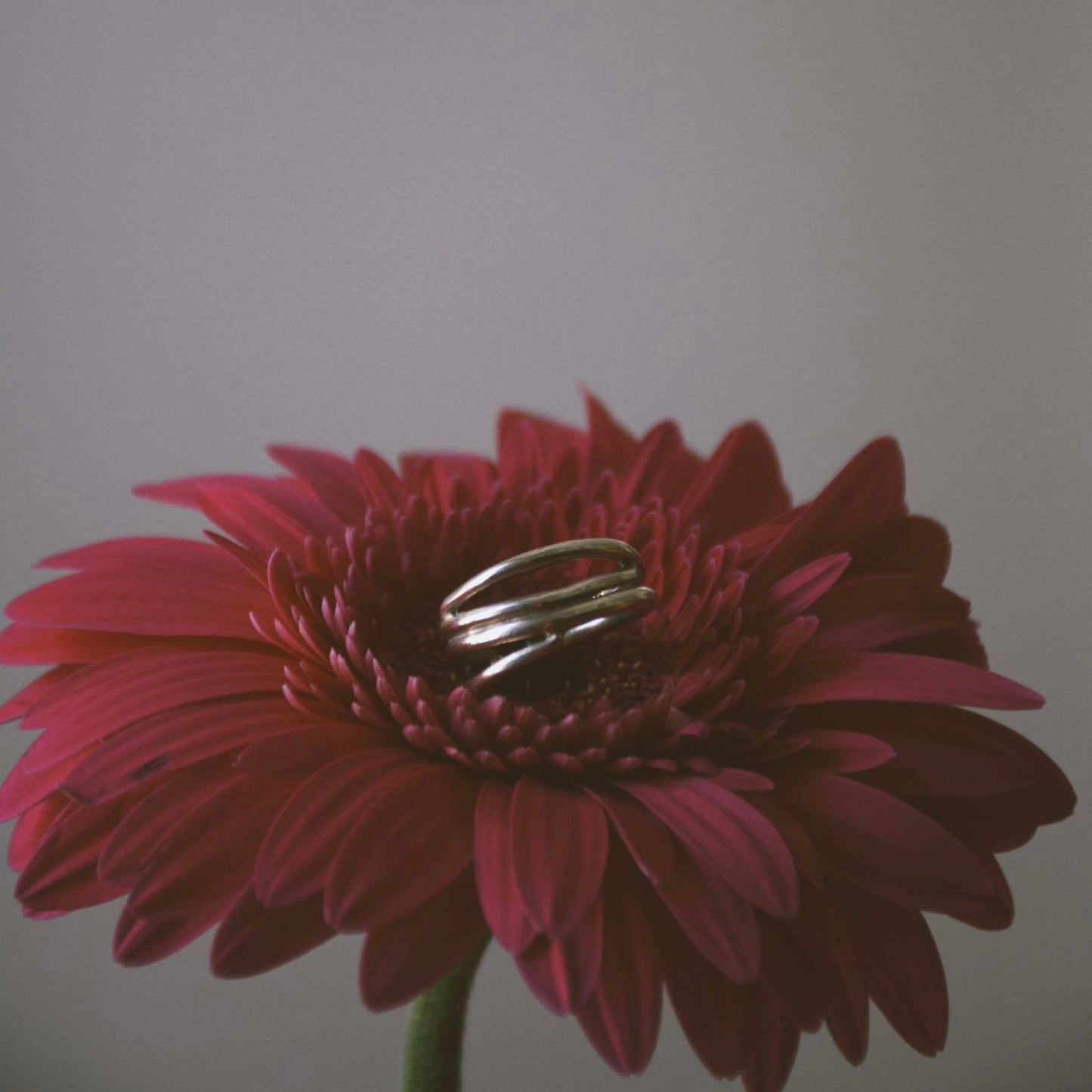 AVA ring